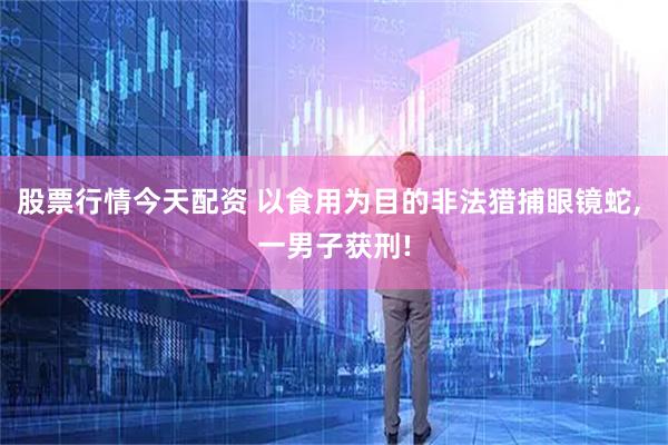 股票行情今天配资 以食用为目的非法猎捕眼镜蛇, 一男子获刑!
